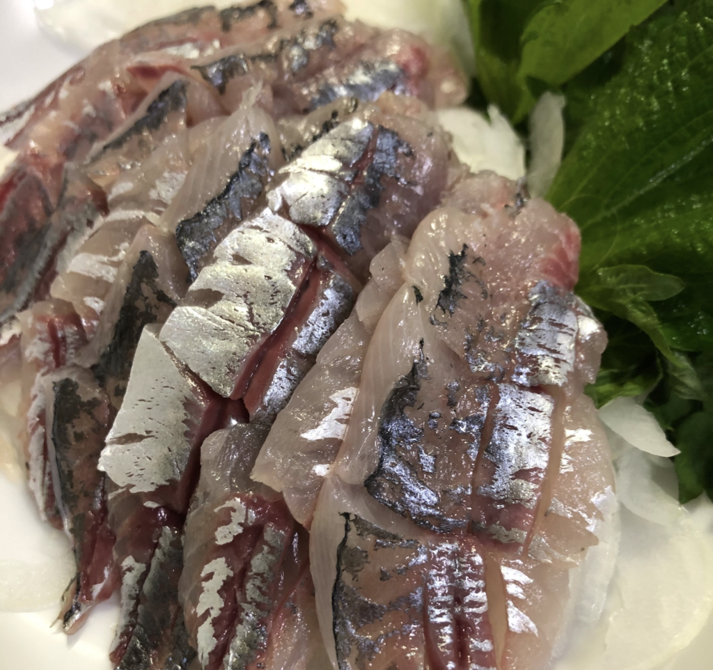 アジ釣り